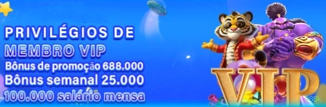 988k Provedores Premium
